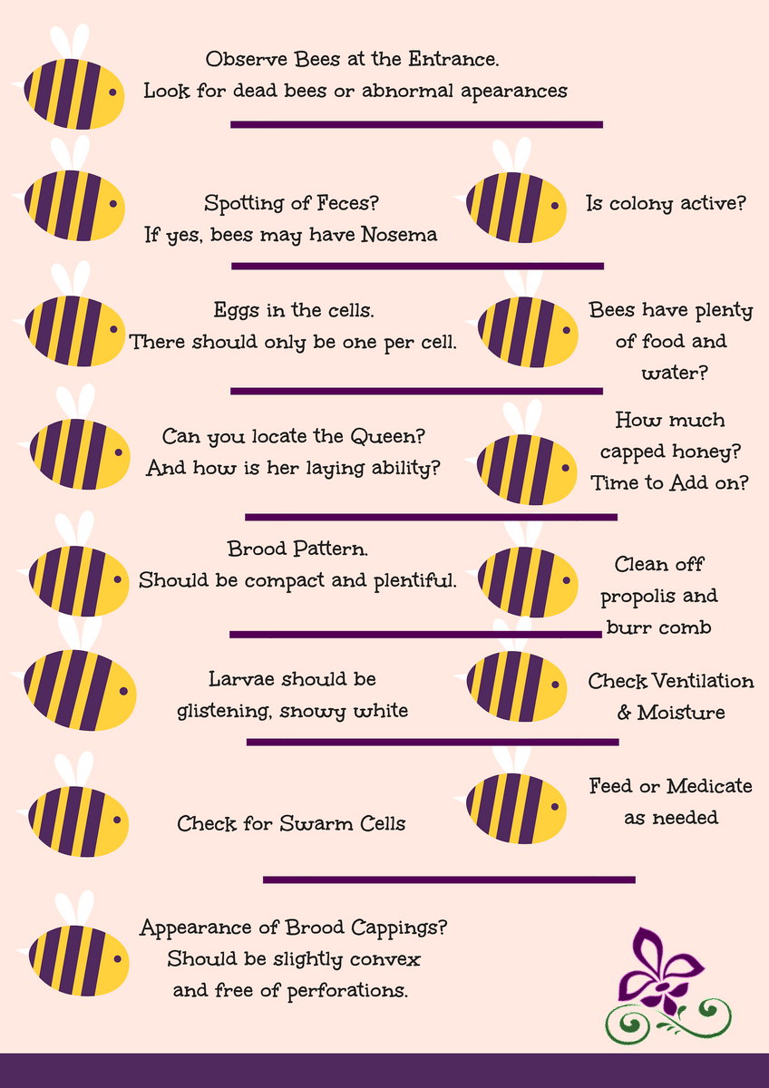 Bee Hive Inspection Sheets – Farm Fit Living bee-hive-inspection-sheets-farm-fit-living