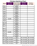 Chicken Egg Incubation Chart & Calendar Set