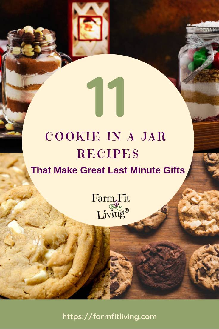 http://shop.farmfitliving.com/cdn/shop/products/cookiejargiftspinterest_1200x1200.png?v=1543858106