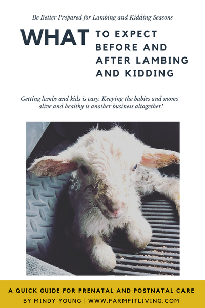 Lambing & Kidding Guide