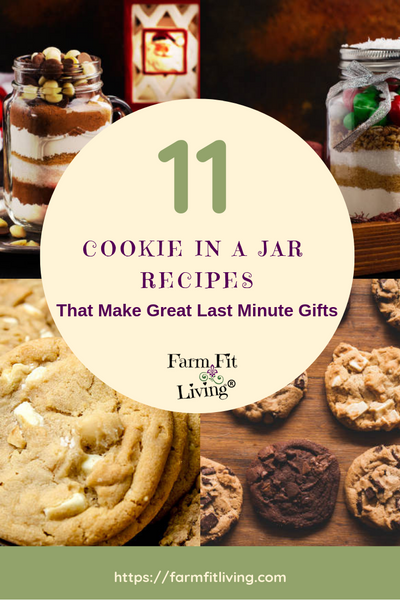 11 Best Cookie in a Jar Recipe Book