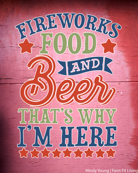Fireworks, Food and Beer Barnwood Farmhouse Decor Wall Hanging