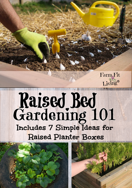7 Raised Bed Garden Ideas for You